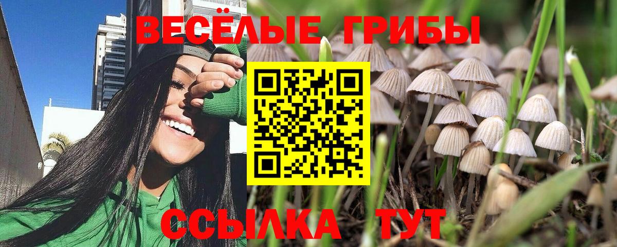 Псилоцибиновые грибы MAGIC MUSHROOMS Ишимбай