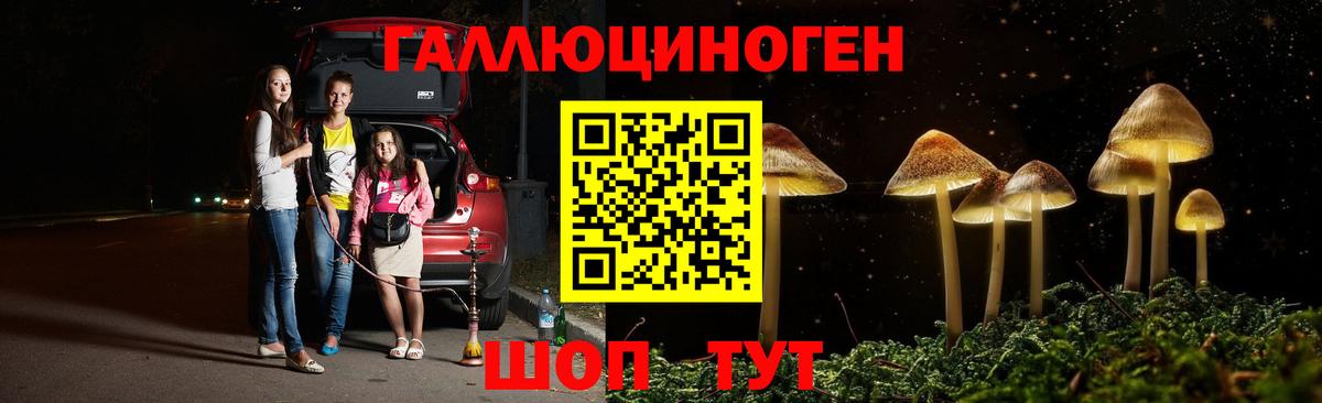 где можно купить   Псилоцибиновые грибы MAGIC MUSHROOMS  Вход с VPN  Ишимбай 